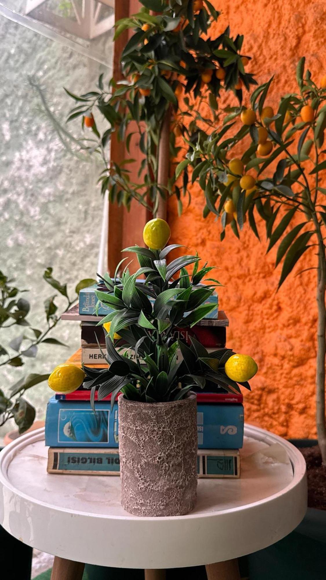Limon Hotel Edirne Kültér fotó